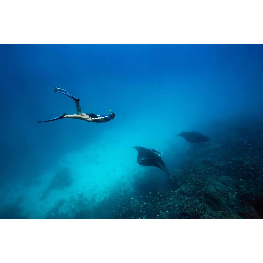 Aletas de submarinismo negro/azul FF 500 Soft - Image 10