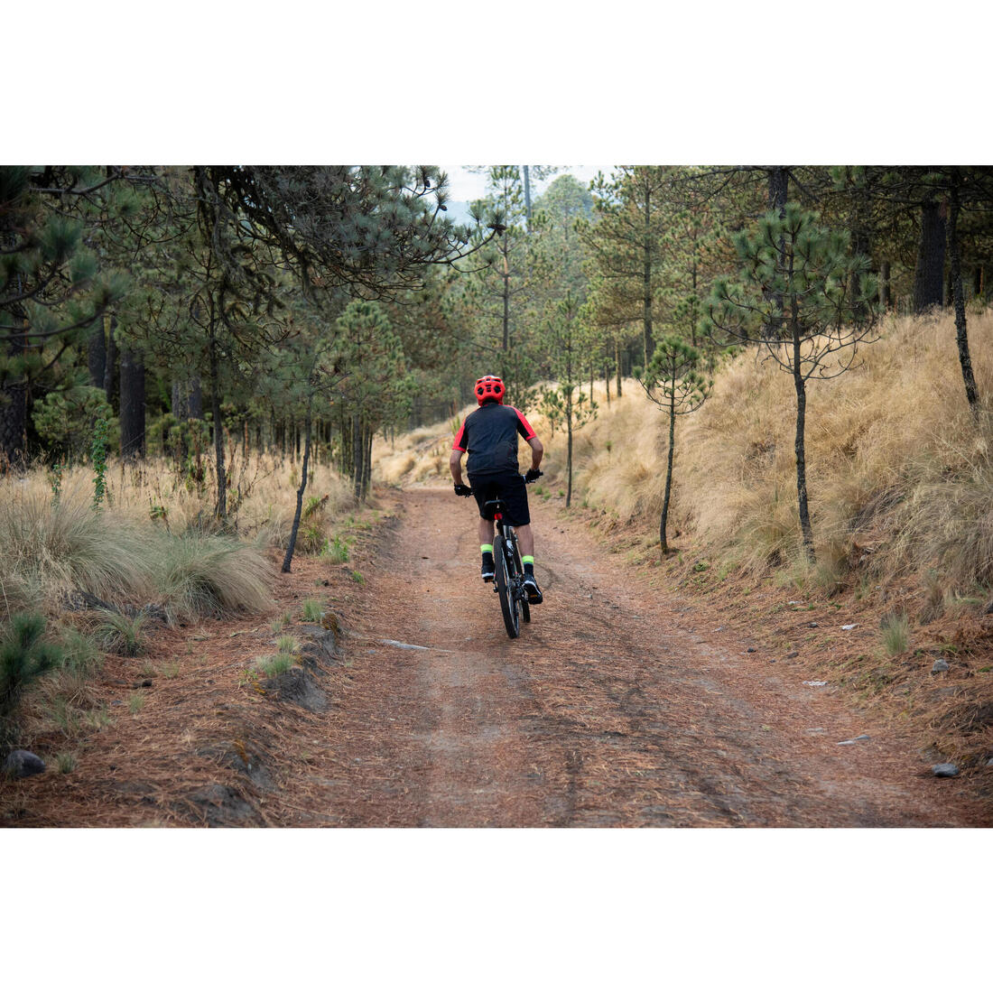 Bicicleta de montaña st100 - Image 31