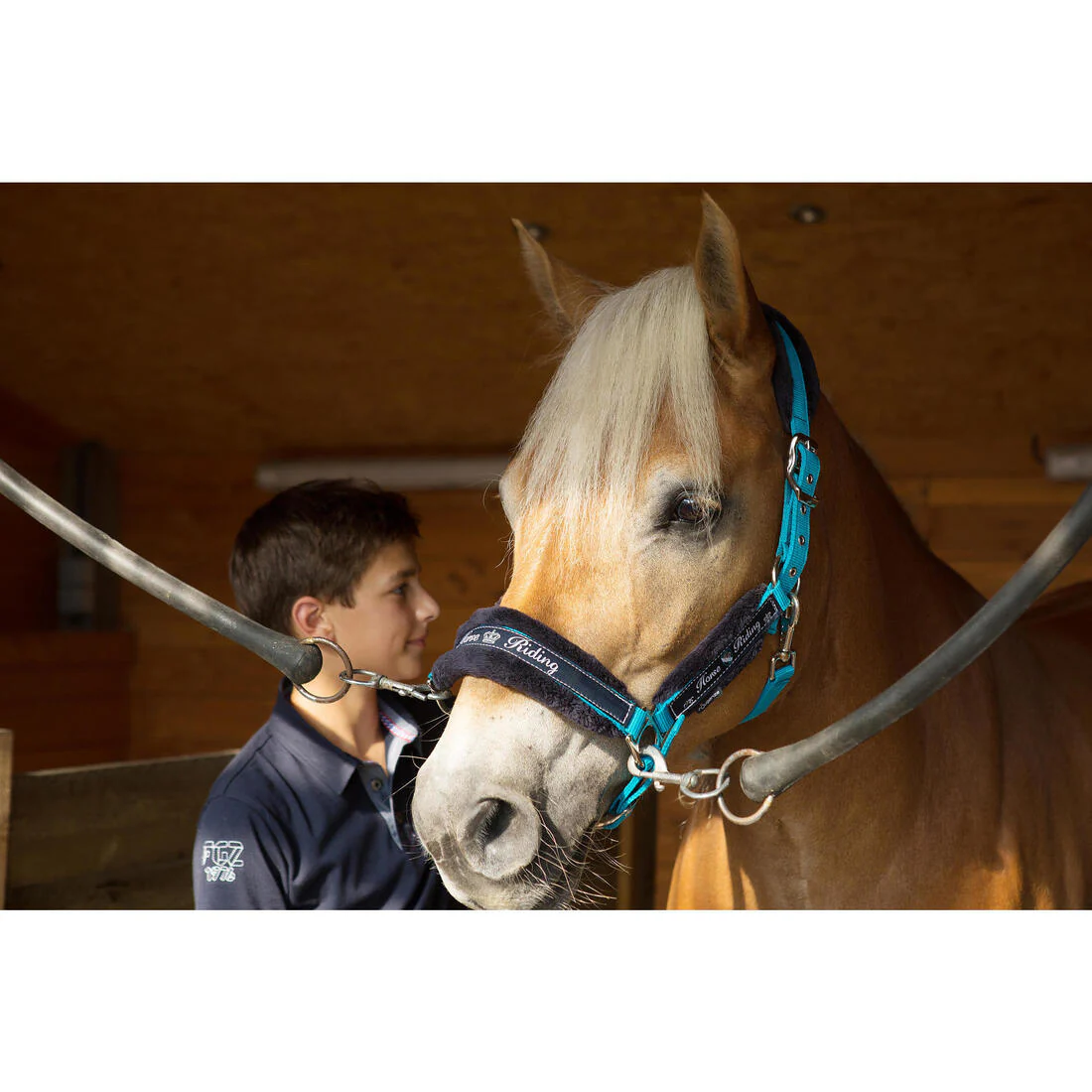 Cabestro + ronzal equitación fouganza WINNER caballo y poni turquesa - Image 6