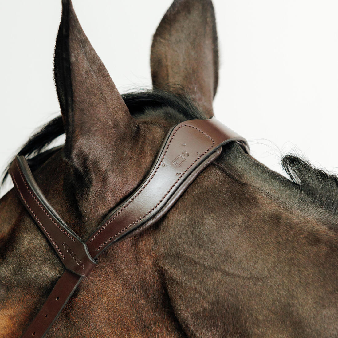 Cabezada de equitación sin bocado café para caballo y poni - Image 2