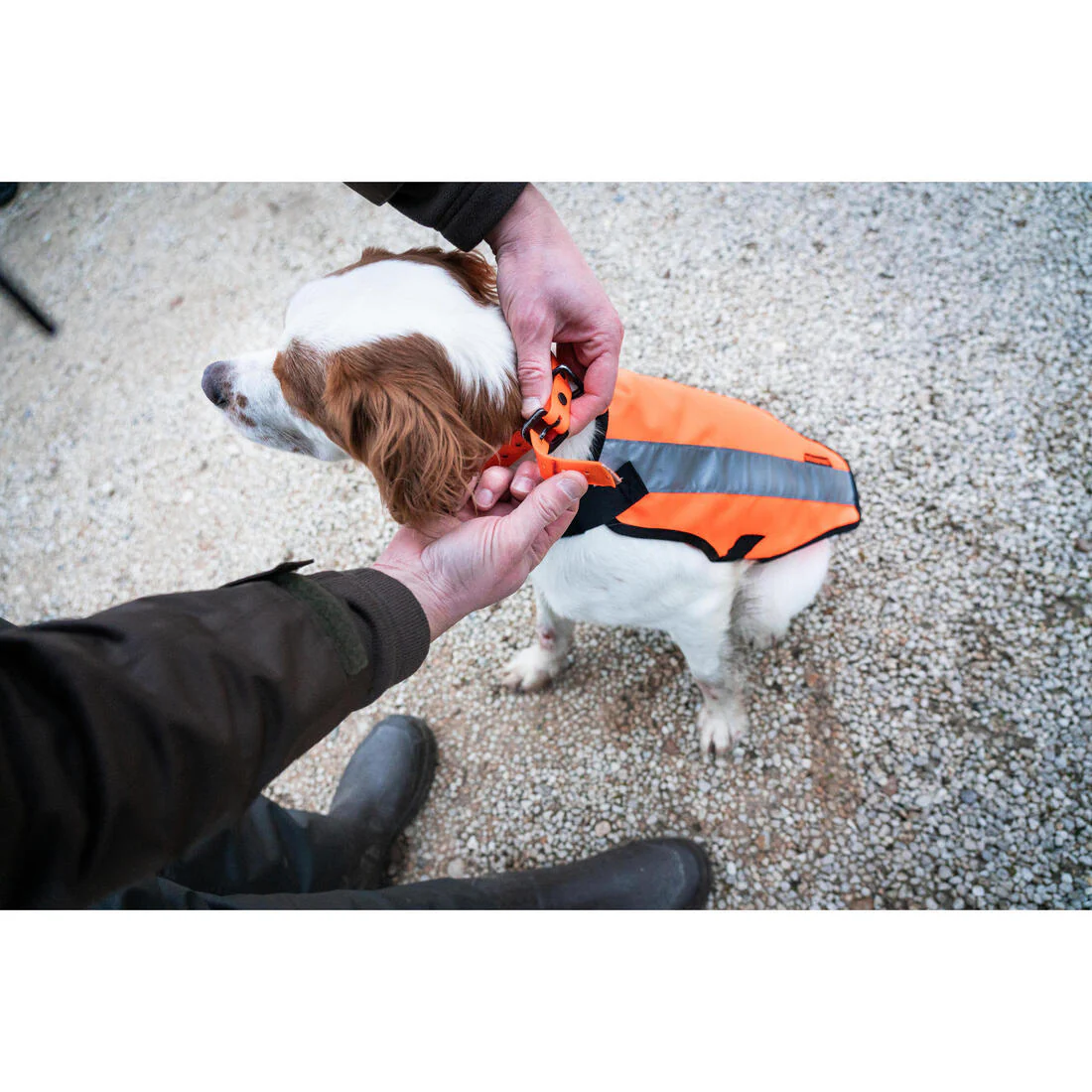 Chaleco de caza naranja para perro Solognac 100 - Image 11