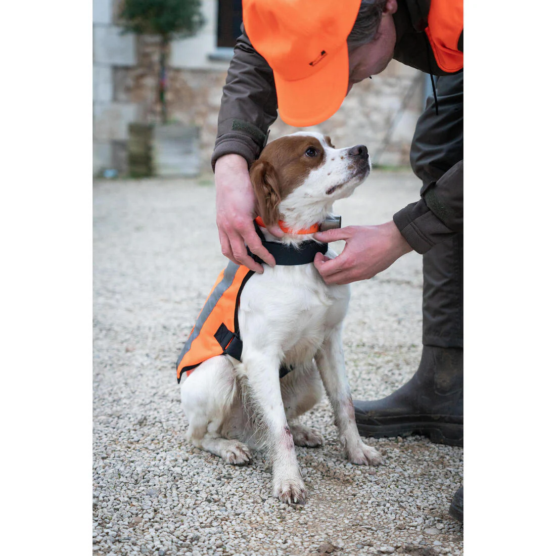 Chaleco de caza naranja para perro Solognac 100 - Image 13