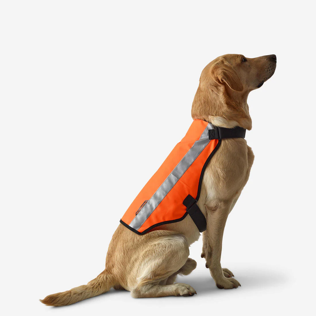 Chaleco de caza naranja para perro Solognac 100 - Image 3