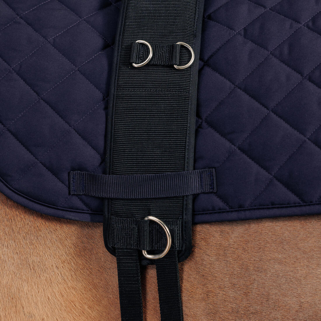 Cincho elástico de equitación negro para poni y caballo - Image 2