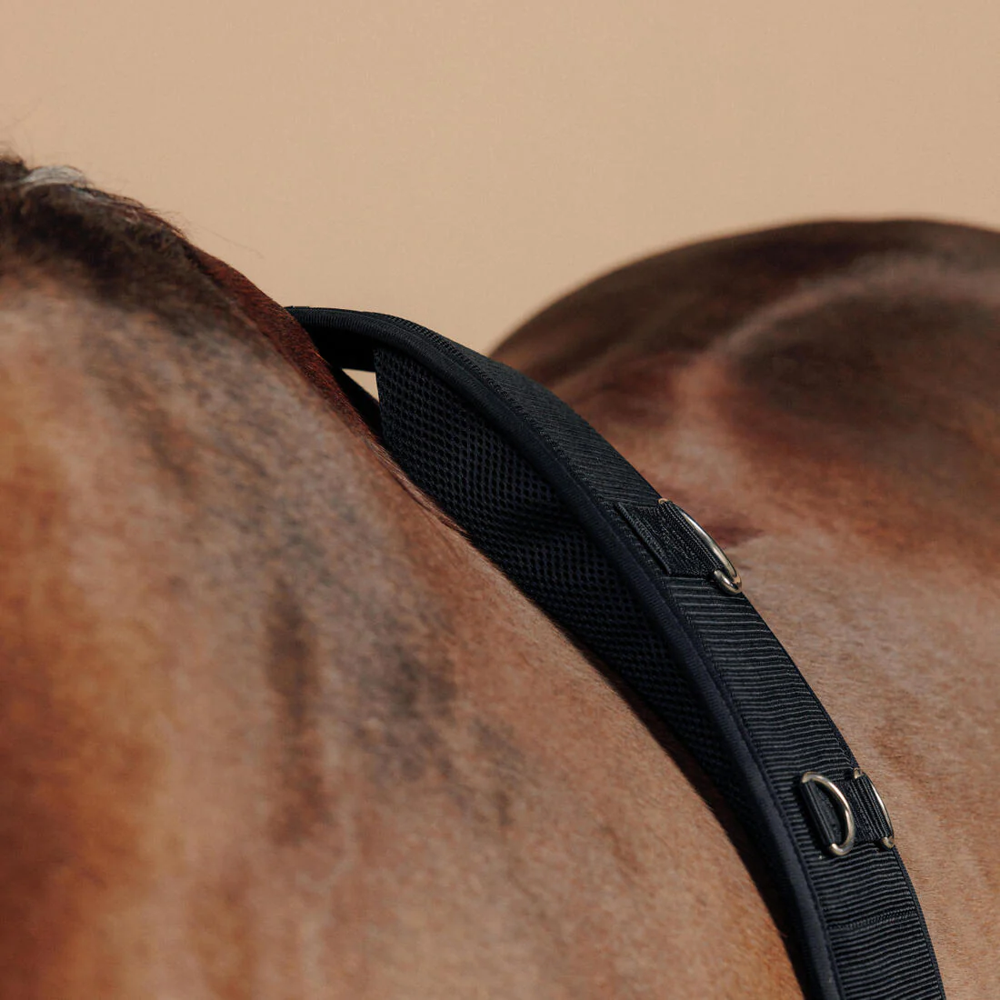 Cincho elástico de equitación negro para poni y caballo - Image 5
