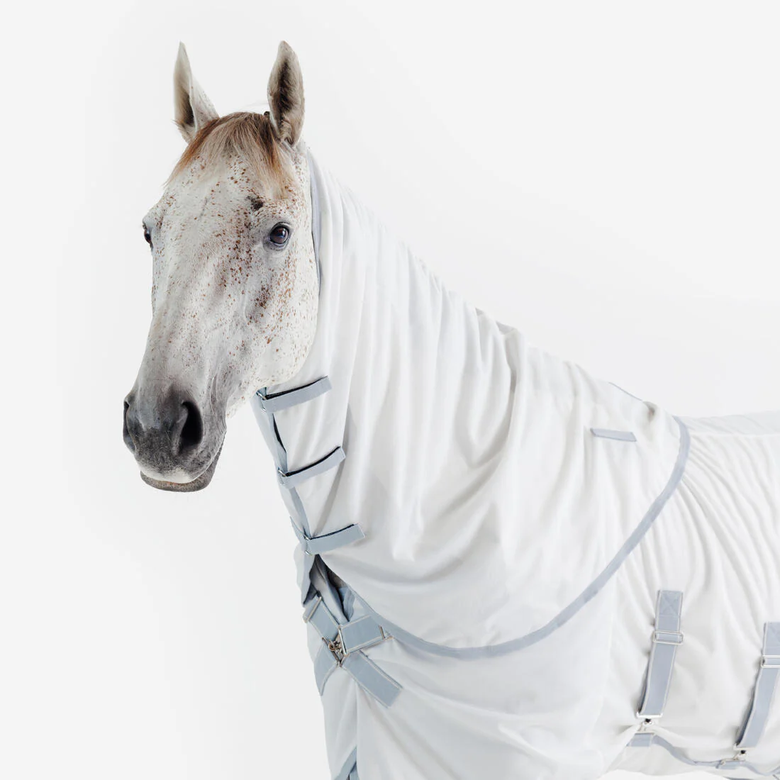 Manta de equitación antimoscas para caballo y poni beige 500 - Image 12