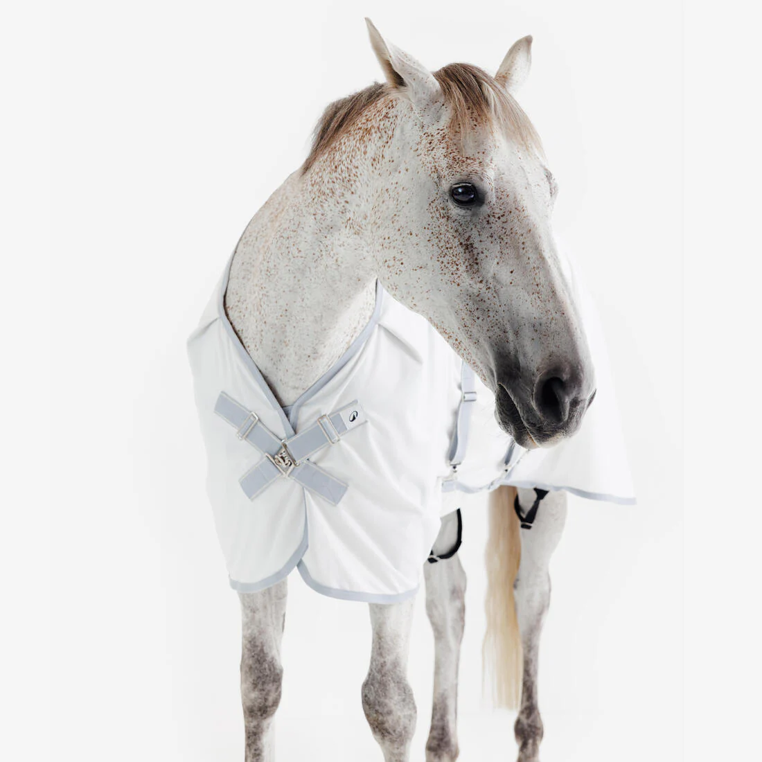 Manta de equitación antimoscas para caballo y poni beige 500 - Image 5