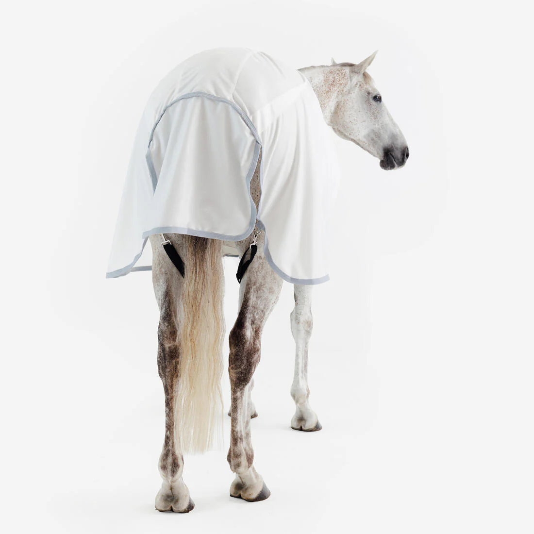 Manta de equitación antimoscas para caballo y poni beige 500 - Image 8