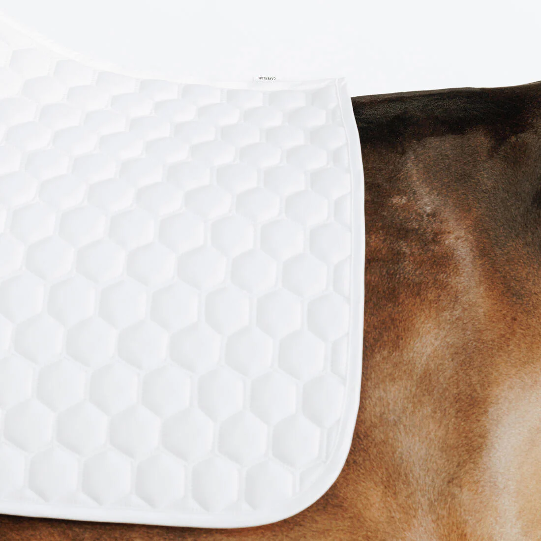 Manta de silla de equitación de competencia para caballo y poni blanca 500 - Image 2