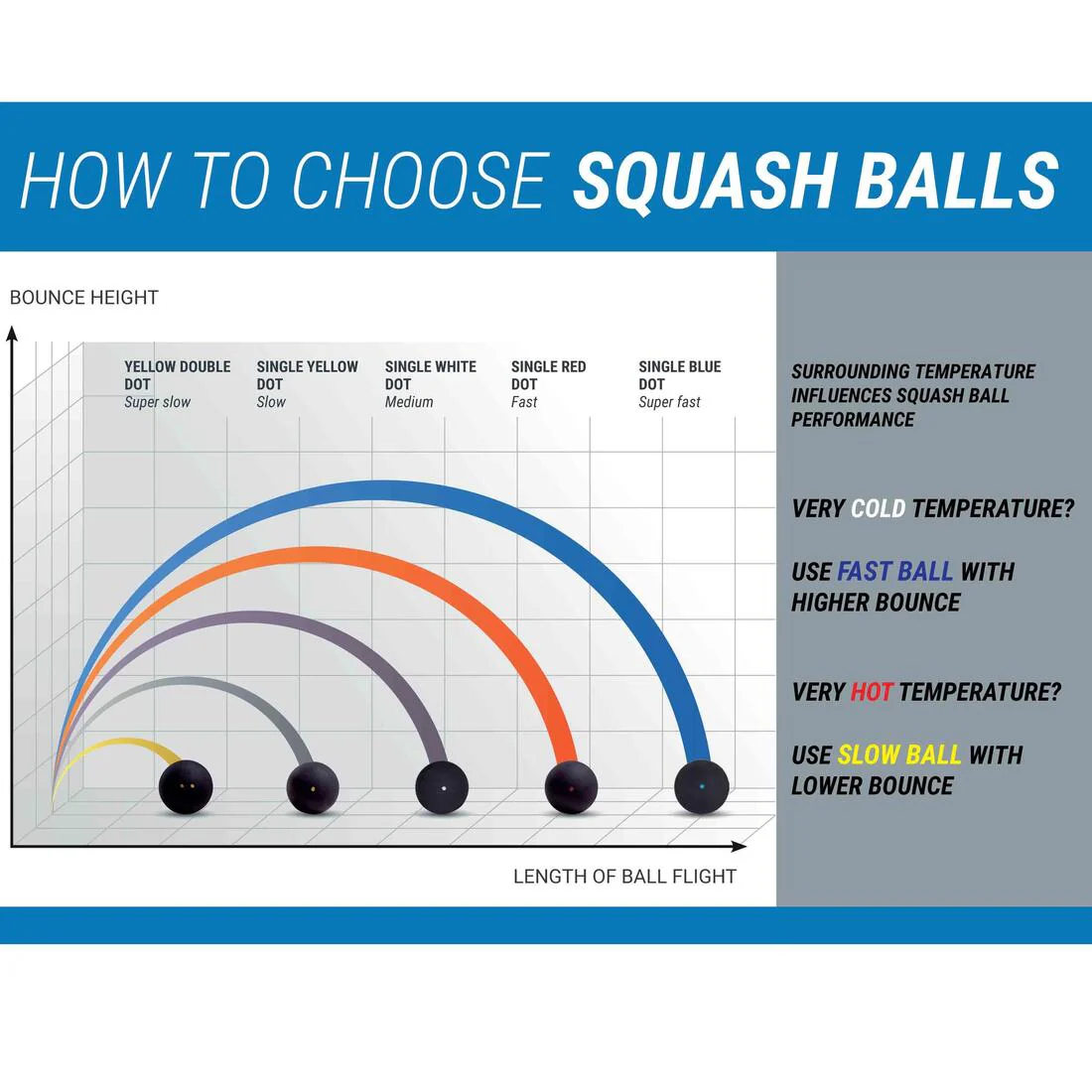 PELOTAS DE SQUASH SB 990 DOBLE PUNTO AMARILLO x2 - Image 4