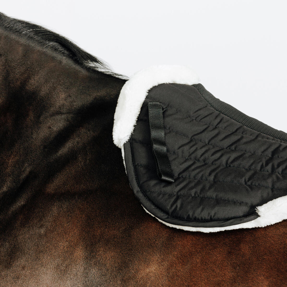 Salvacruces de equitación negro con borreguito sintético para caballo 900 - Image 3