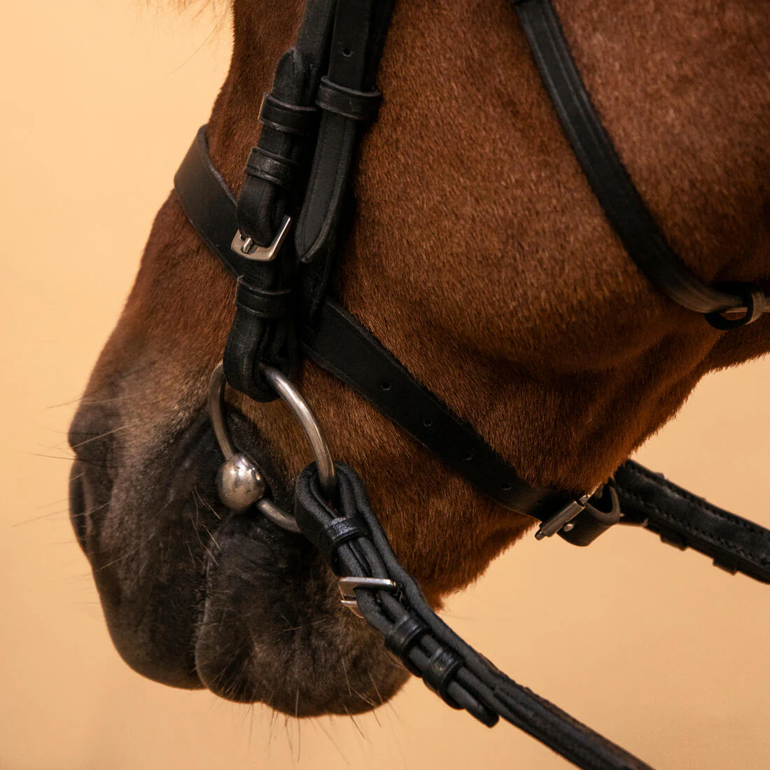 Serratón y riendas de equitación de piel negra para caballo/poni 100 - Image 14