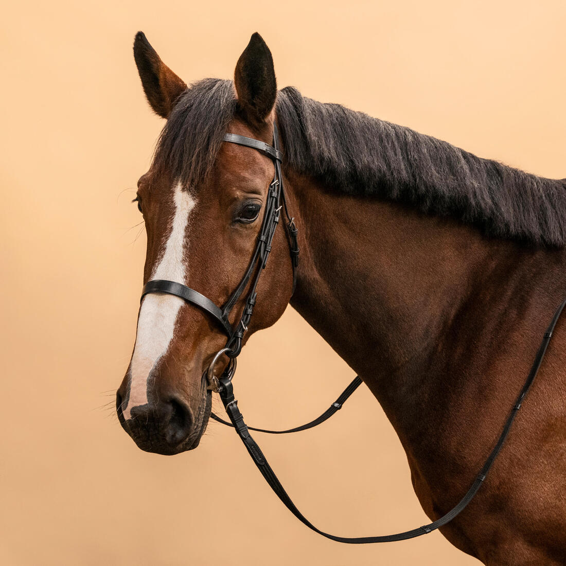Serratón y riendas de equitación de piel negra para caballo/poni 100 - Image 2
