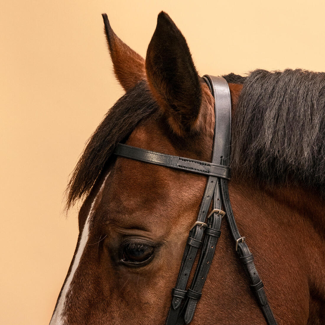 Serratón y riendas de equitación de piel negra para caballo/poni 100 - Image 4