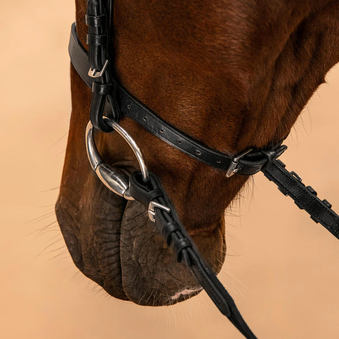 Serratón y riendas de equitación de piel negra para caballo/poni 100 - Image 7