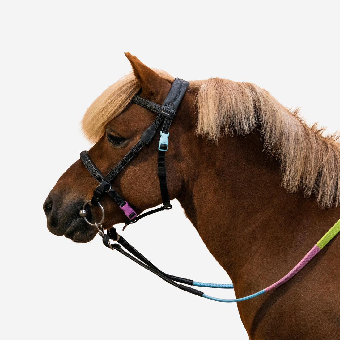 Serratón y riendas de equitación para iniciación sintético negro Poni 100