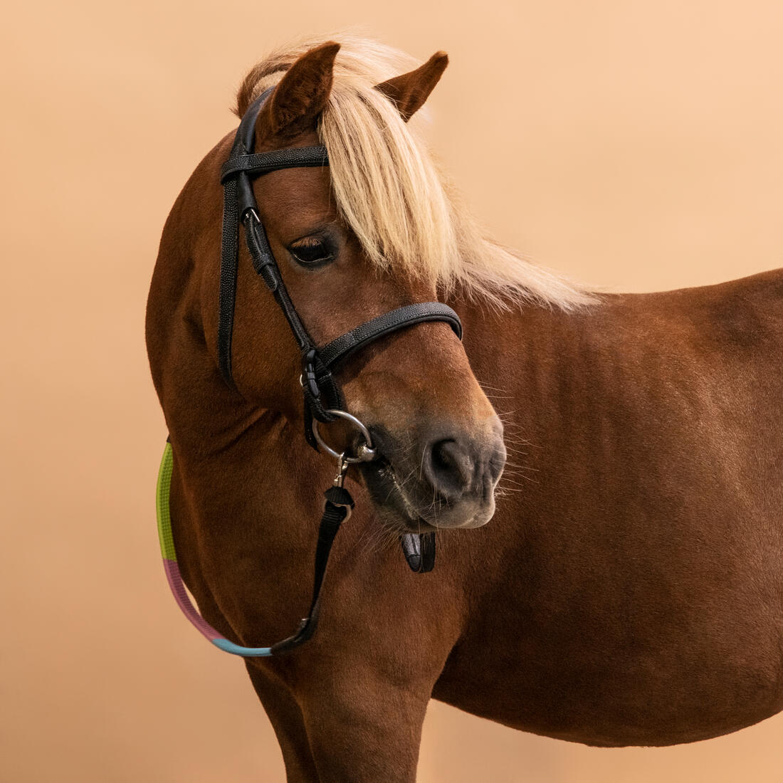 Serratón y riendas de equitación para iniciación sintético negro Poni 100 - Image 3