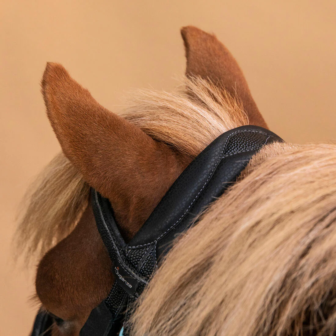 Serratón y riendas de equitación para iniciación sintético negro Poni 100 - Image 5
